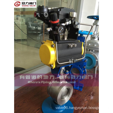 Stainless Steel V Port Segment Ball Valve